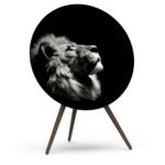 Cover For BeoPlay / BeoSound A9-LeoGlow