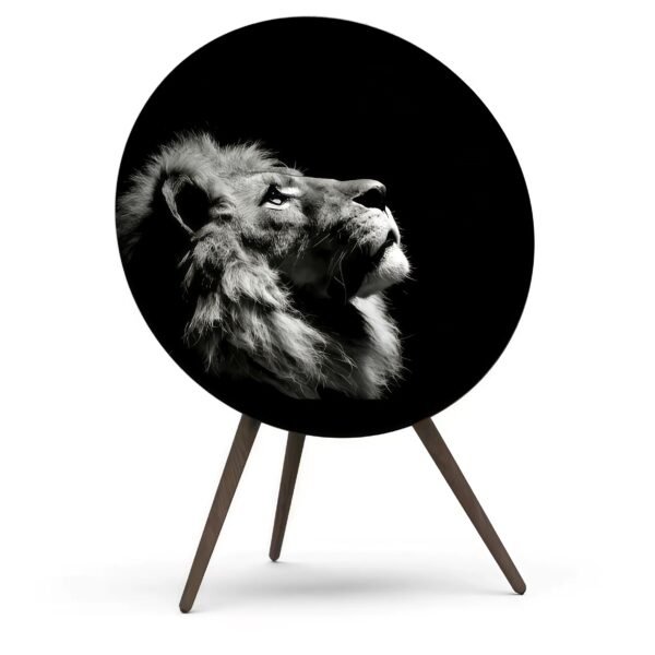 Cover For BeoPlay / BeoSound A9-LeoGlow