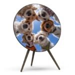 Cover For BeoPlay / BeoSound A9-Paws & Harmony