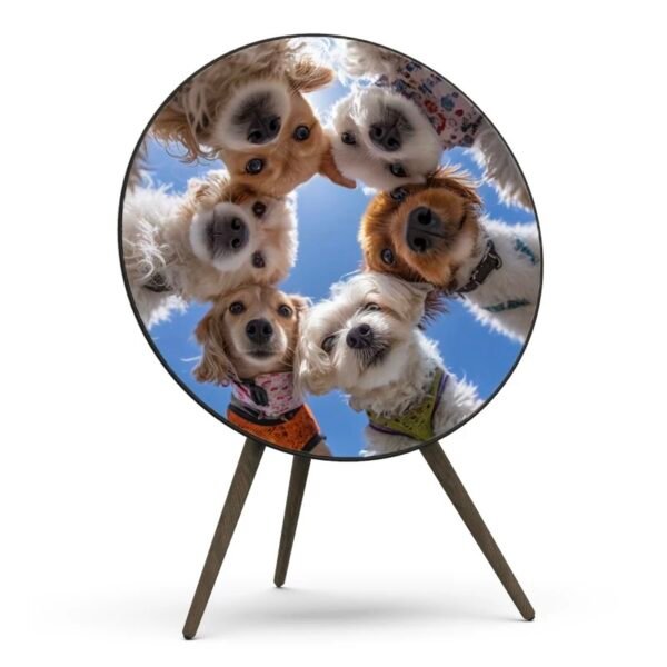 Cover For BeoPlay / BeoSound A9-Paws & Harmony